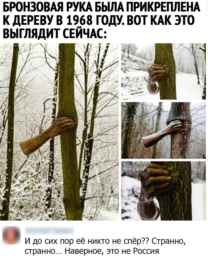 БРОНЗОВАЯ РУКА БЫЛА ПРИКРЕПЛЕНА К ДЕРЕВУ В 19__68 ГОДУ ВОТ КАК ЭТО ВЫГЛЯДИТ СЕЙЧАС И до сих пор её никто не спёр Странно сгранно Наверное это не Россия