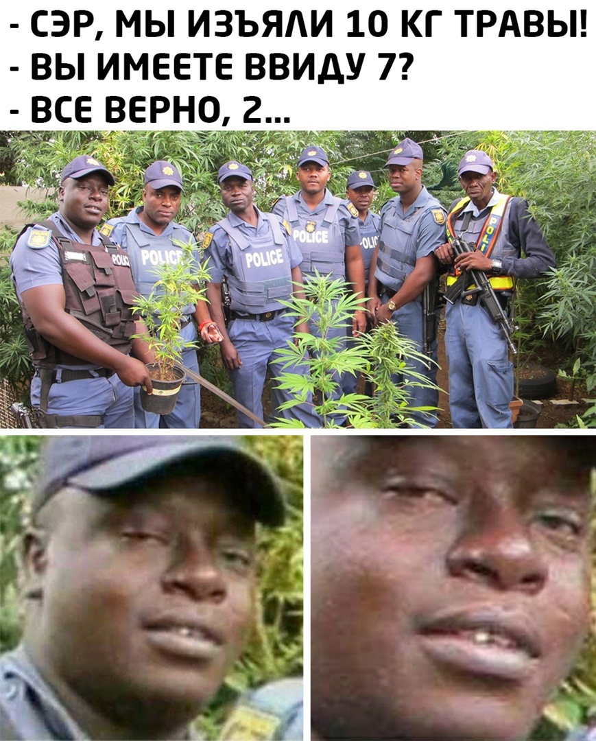 СЭР МЫ ИЗЪЯАИ 10 КГ ТРАВЫ ВЬ ИМЕЕТЕ ВВИДУ 7 ВСЕ ВЕРНО 2