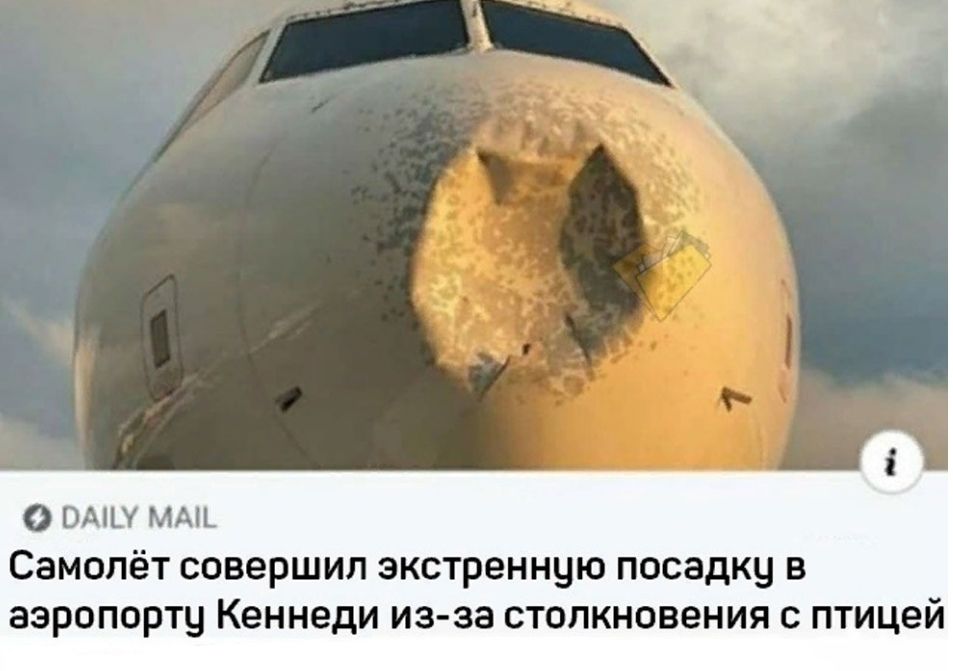 О ВАШУ МАШ Самолёт совершил экстренную посадку в аэропорту Кеннеди из за столкновения с птицей