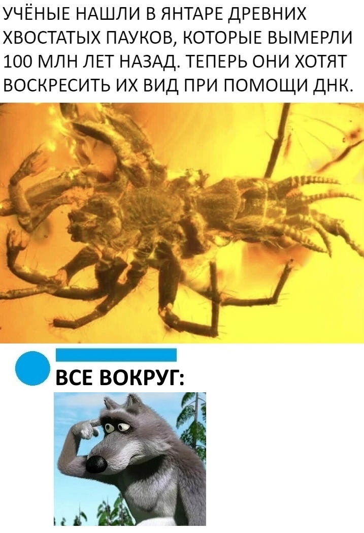 УЧЁНЫЕ НАШЛИ в ЯНТАРЕ ДРЕВНИХ ХВОСТАТЫХ ПАУКОВ КОТОРЫЕ ВЫМЕРЛИ 100 млн ЛЕТ НАЗАД ТЕПЕРЬ они хотят ВОСКРЕСИТЬ их вид при помощи днк