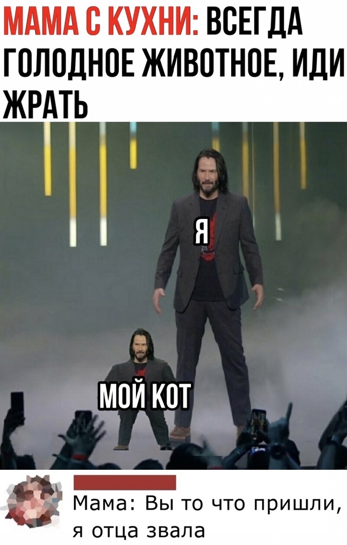 МАМА С КУХНИ ВСЕГДА ГОЛОДНОЕ ЖИВОТНОЕ ИДИ ЖРАТЬ _МОЙ КОТ а _ Мама Вы то что пришли Я ОТЦд 3 вала