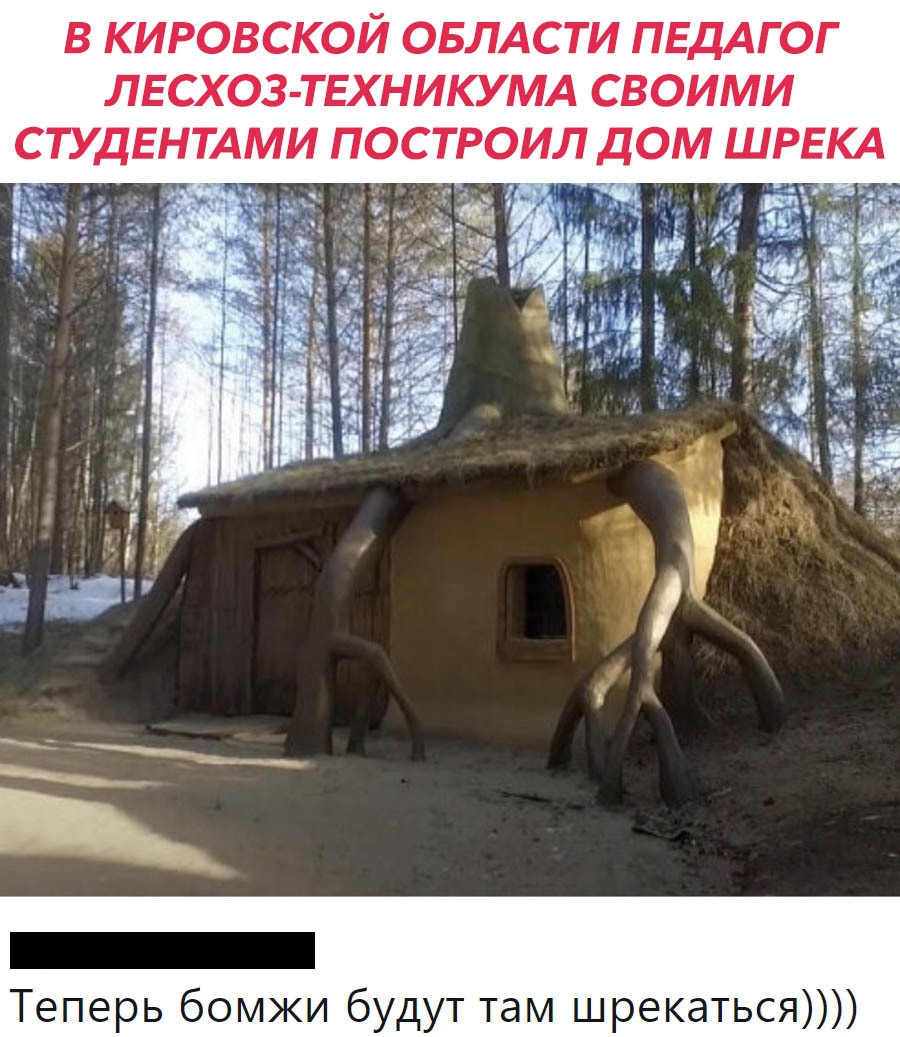 В КИРОВСКОЙ ОБЛАСТИ ПЕДАГ ОГ ЛЕСХОЗ ТЕХНИКУМА СВОИМИ СТУДЕНТАМИ ПОСТРОИЛ ДОМ ШРЕКА _ бомжи будут там шрекаться