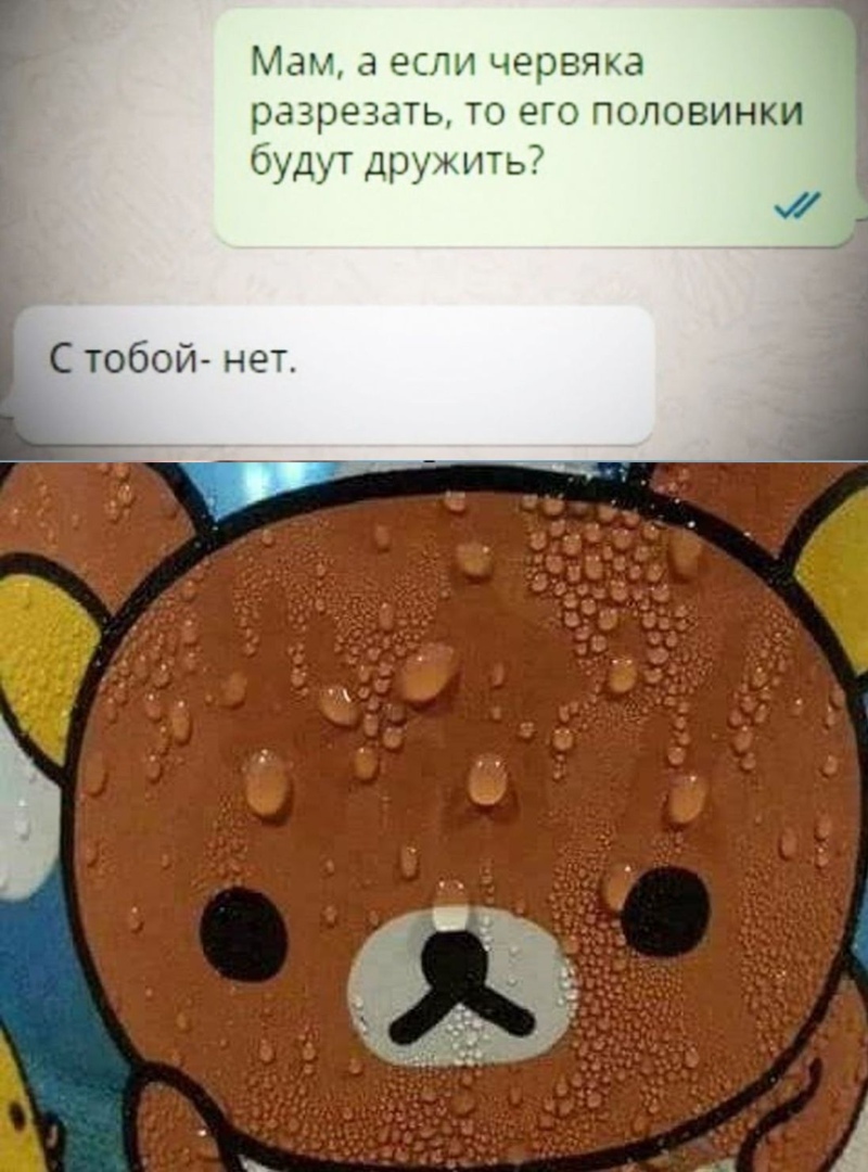 Мам а если червяка разрезать то его половинки будут дружить