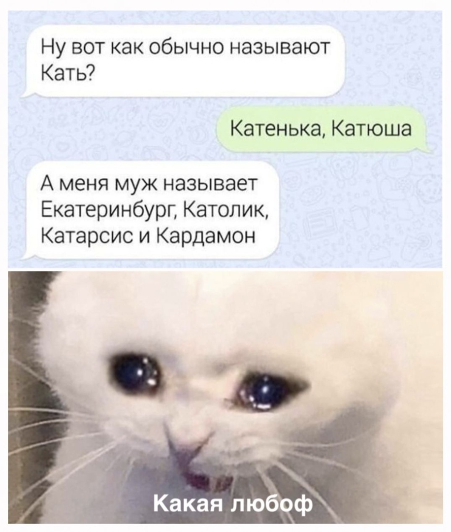 Ну вот как обычно называют Кать Катенька Катюша А меня муж называет ЕкатеринбурГ Католик Катарсис и Кардамон Какая любоф