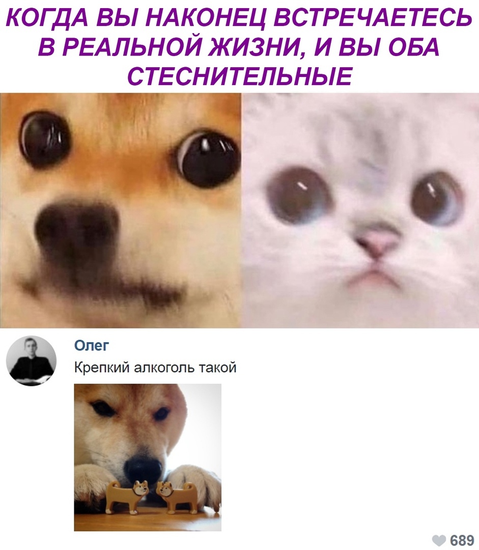 КОГДА ВЫ НАКОНЕЦ ВСТРЕЧАЕТЕСЬ В РЕАЛЬНОЙ ЖИЗНИ И ВЫ ОБА С_ТЕСНИТЕЛЬНЫЕ 7 Олег Крепкий ап когопь такой 689