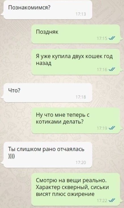 Познакомимся Поэдняк и Я уже купила двух кошек год назад Что Ну что мне теперь кетиками делать Ты слишком рано отчаялась Смотрю на вещи реально Характер скверный сиськи ЕИСЯТ ПЛЮС ОЖИРЕНИЕ 7