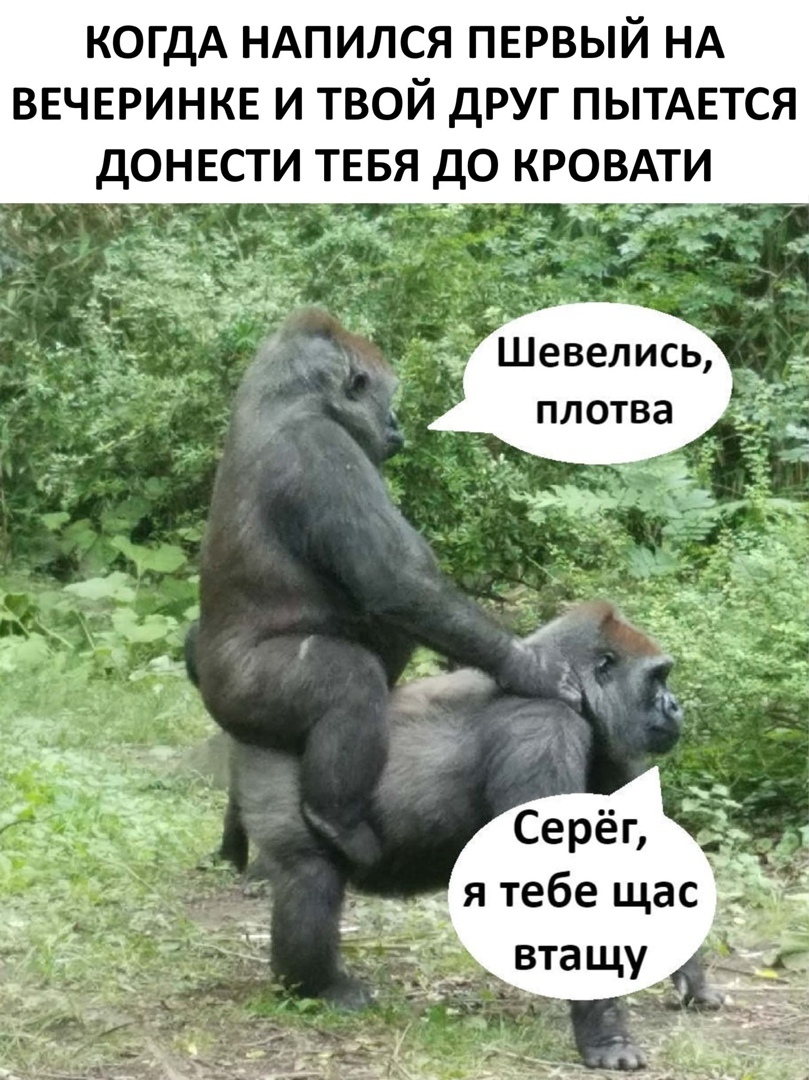 КОГДА НАПИЛСЯ ПЕРВЫЙ НА ВЕЧЕРИНКЕ И ТВОЙ дРУГ ПЫТАЕТСЯ ВАТИ