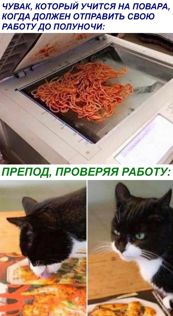 ЧУВАК КОТОРЫЙ УЧИТСЯ НА ПОВАРА КОГДА ДОЛКЕН ОТПРАВИТЬ СВОЮ РАБОТУДО ПОЛУНОЧИ