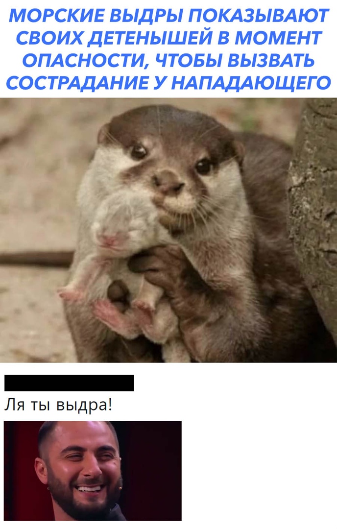 Ля ты выдра