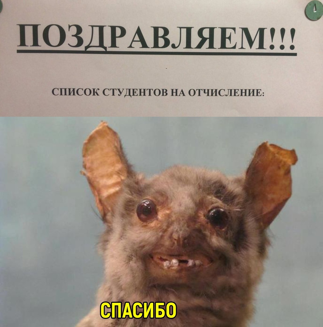 О ПОЗДРАВЛЯЕМ СПИСОК СТУДЕНТОВ НА ОТЧИСЛЕНИЕ