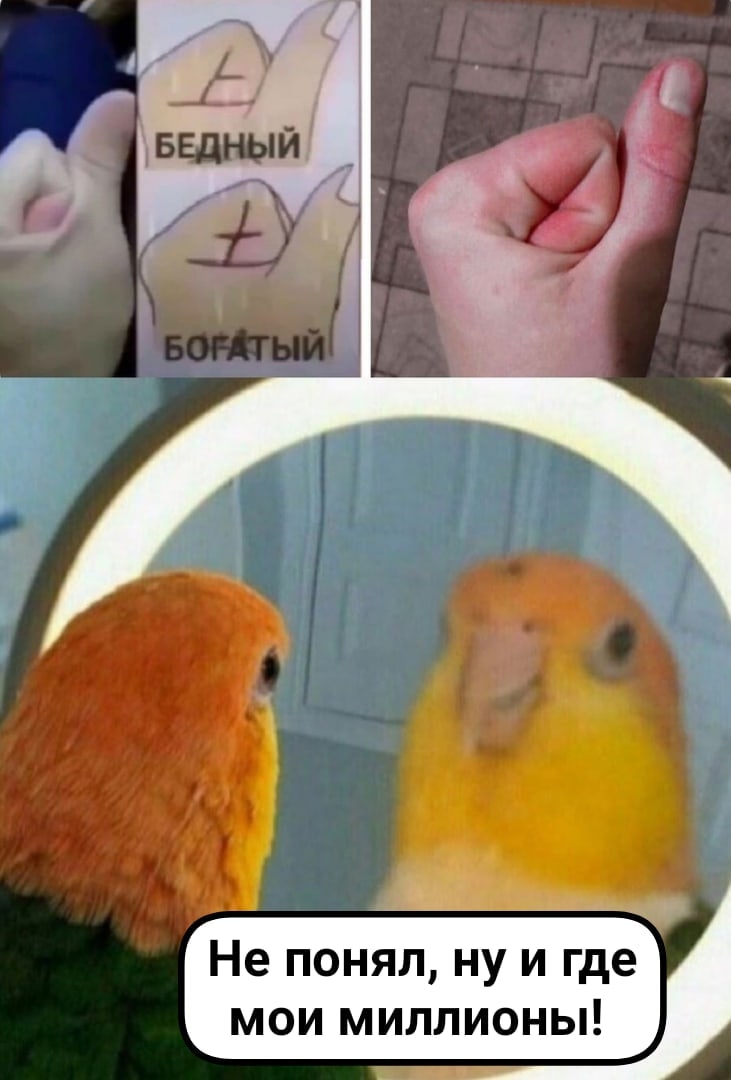 д даш Не понял ну и где мои миллионы
