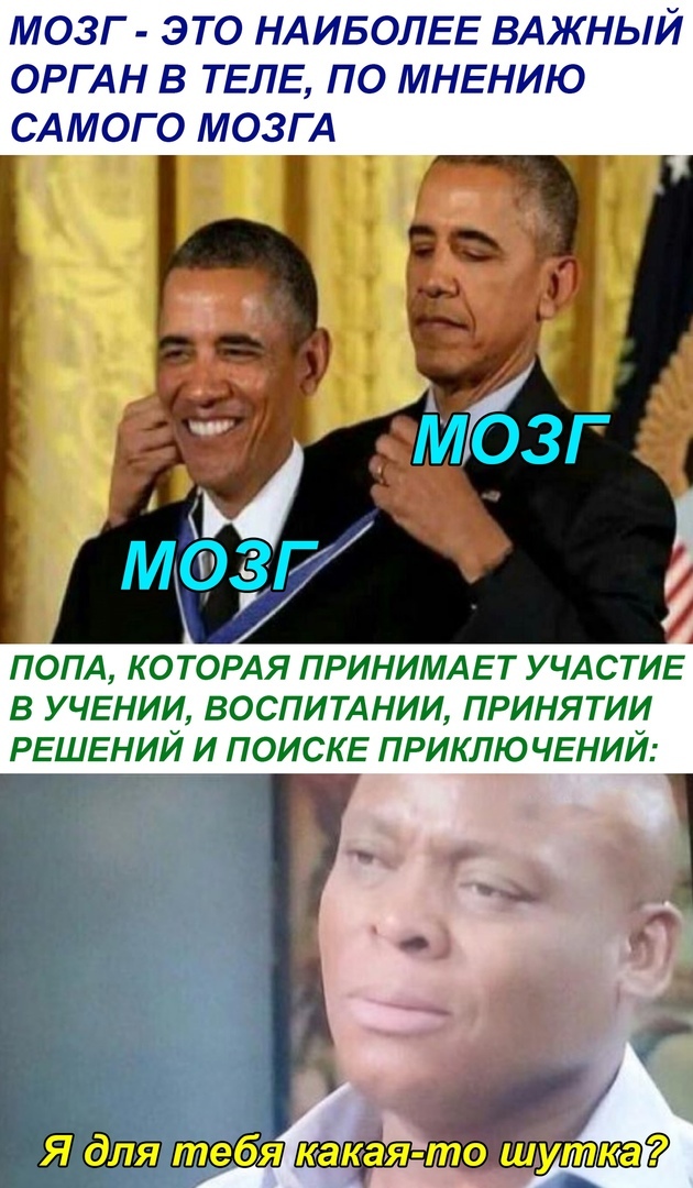 МОЗГ ЭТО НАИБОЛЕЕ ВАЖНЫЙ ОРГАН В ТЕЛЕ ПО МНЕНИЮ САМОГО МОЗГА ПОПА КОТОРАЯ ПРИНИМАЕТ УЧАСТИЕ В УЧЕНИИ ВОСПИТАНИИ ПРИНЯТИИ РЕШЕИИ И ПОИСКЕ ПРИКЛЮ ЧЕНИИ