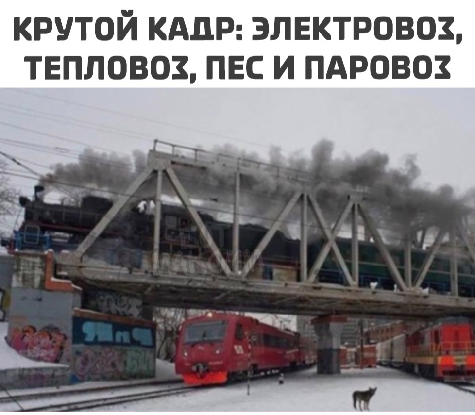 КРУТОЙ КАДР ЭЛЕКТРОВОЗ ТЕПЛОВОЗ ПЕС И ПАРОВОЗ
