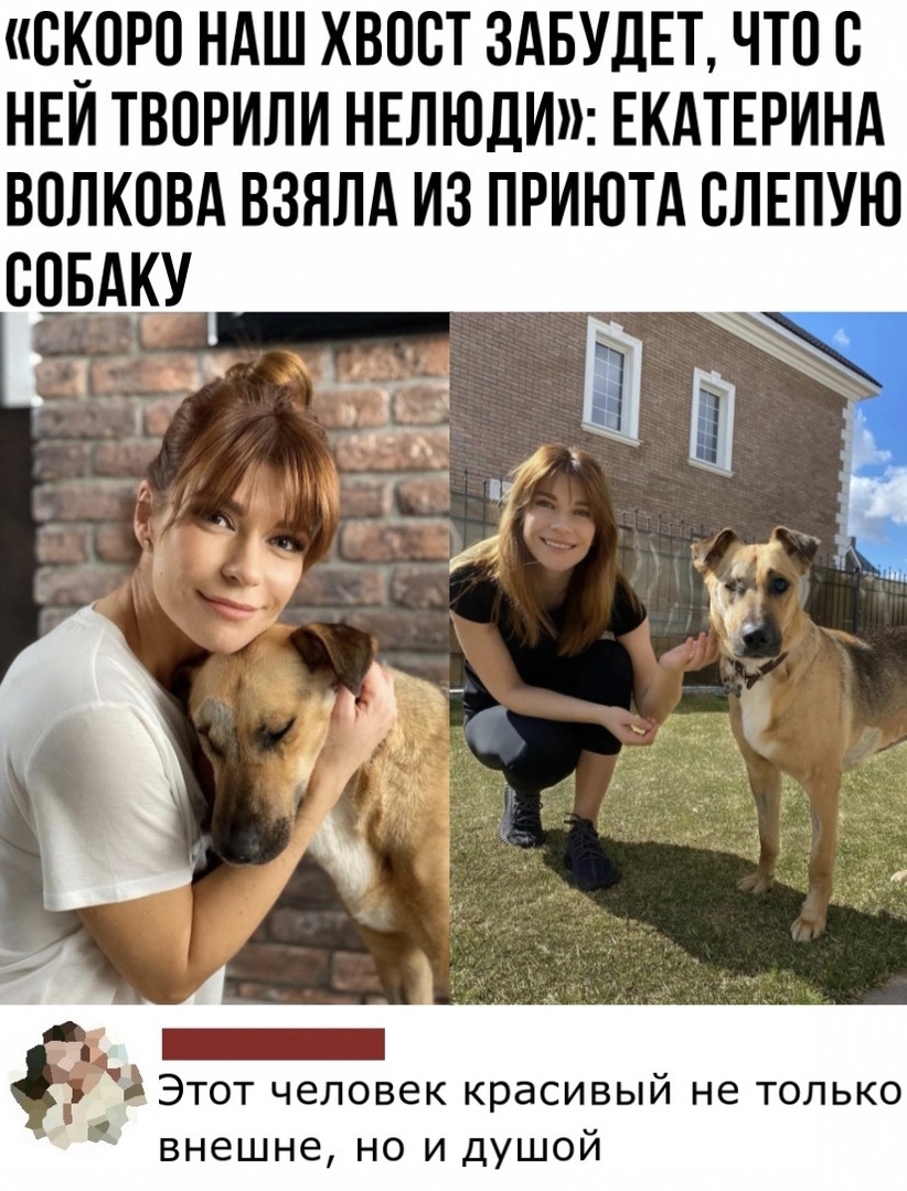 скоро ндш хвост ЗАБУДЕТ что с нем творили НЕЛЮДИ ЕКАТЕРИНА волкпвд взялд из приютд ВЛЕПУЮ спвдку 1 _ 3 Этот человек красивый не только внешне но и душой