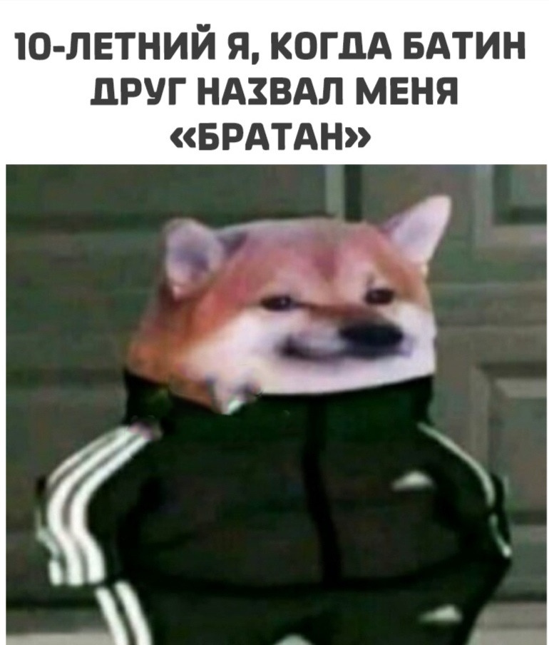 О ЛЕТНИЙ Я КОГДА БАТИН дРУГ НАЗВАЛ МЕНЯ БРАТАН