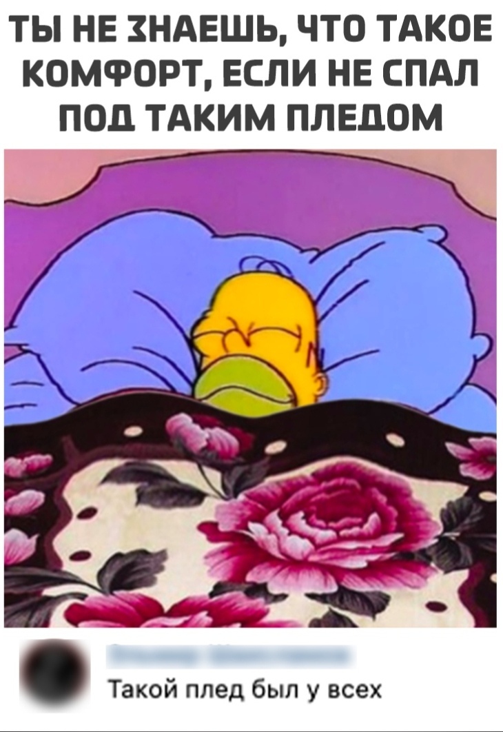 ТЫ НЕ ЗНАЕШЬ ЧТО ТАКОЕ КОМФОРТ ЕСЛИ НЕ СПАЛ ПОЦ ТАКИМ ПЛЕЦОМ Такой плед был у всех