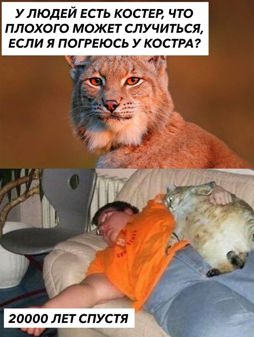 УЛЮДЕЙ ЕСТЬ КОСТЕВ ЧТО ПЛОХОГО МОЖЕТ СЛУЧИТЬСЯ ЕСЛИ Я ПОГРЕЮСЬ У КОСТРА 20000 ЛЕТ СПУСТЯ