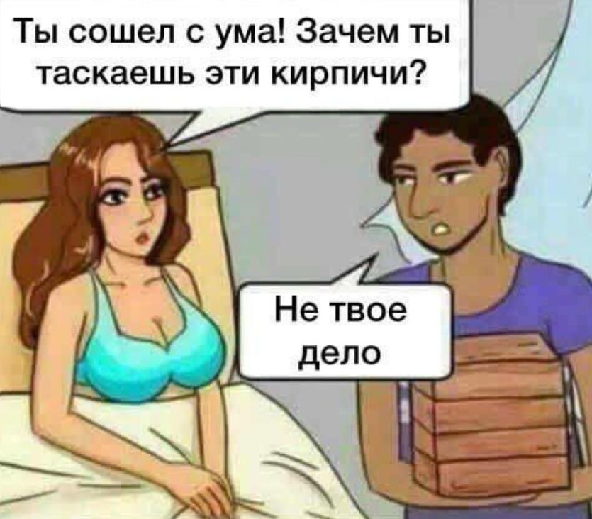 Ты сошел с ума Зачем ты таскаешь эти кирпичи