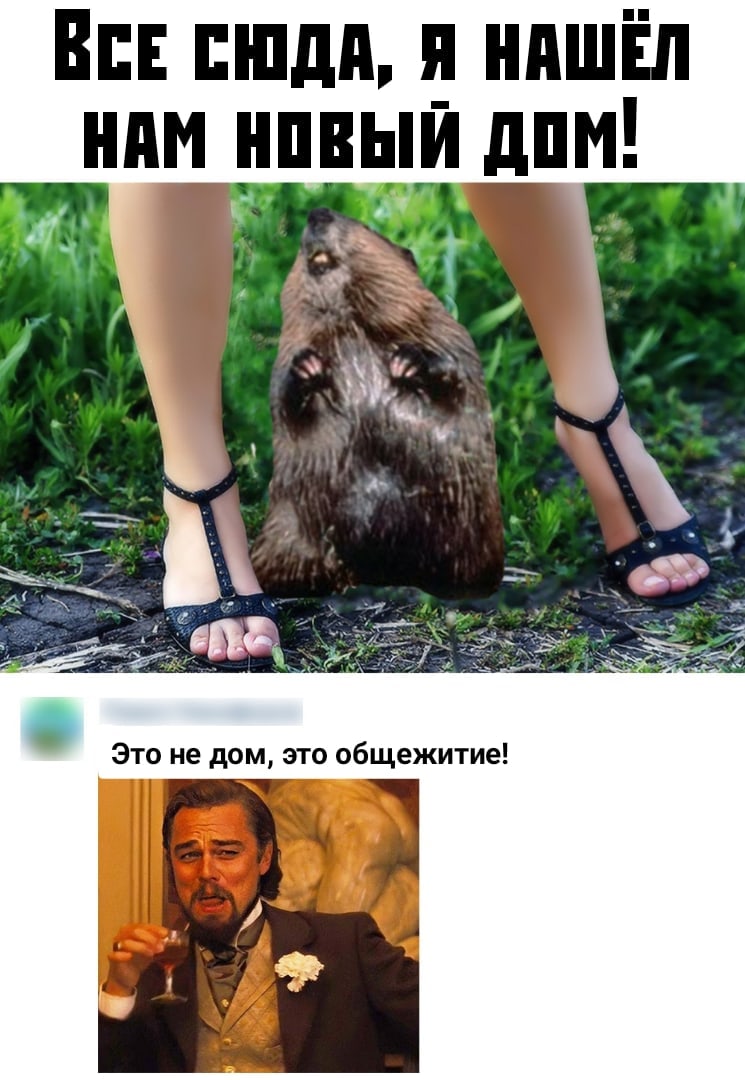 В пили и нпшЁп ним нпвыи дпм д