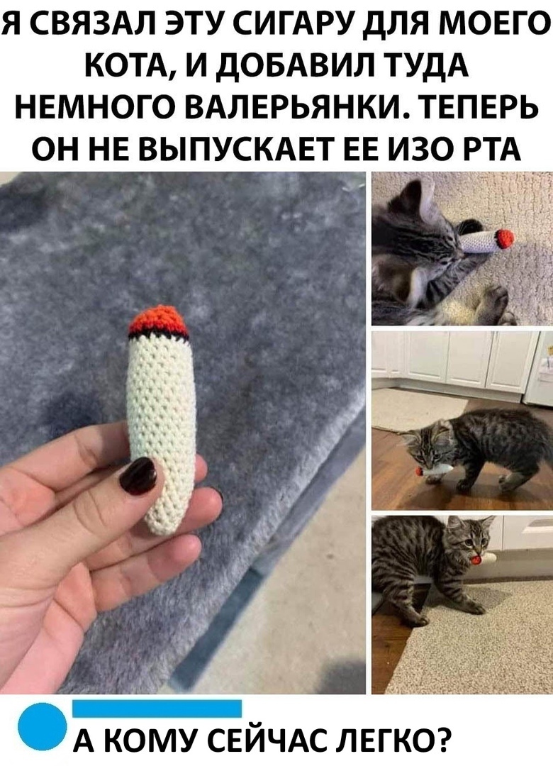 Я СВЯЗАЛ ЭТУ СИГАРУ ДЛЯ МОЕГО КОТА И ДОБАВИЛ ТУДА НЕМНОГО ВАЛЕРЬЯНКИ ТЕПЕРЬ ОН НЕ ВЫПУСКАЕТ ЕЕ ИЗО РТА _ А кому сЕйчдс ЛЕГКО