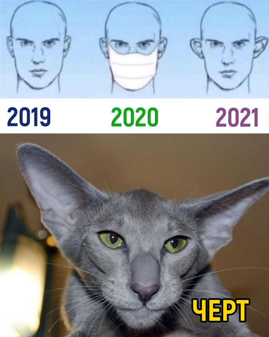 2019 2020 2021