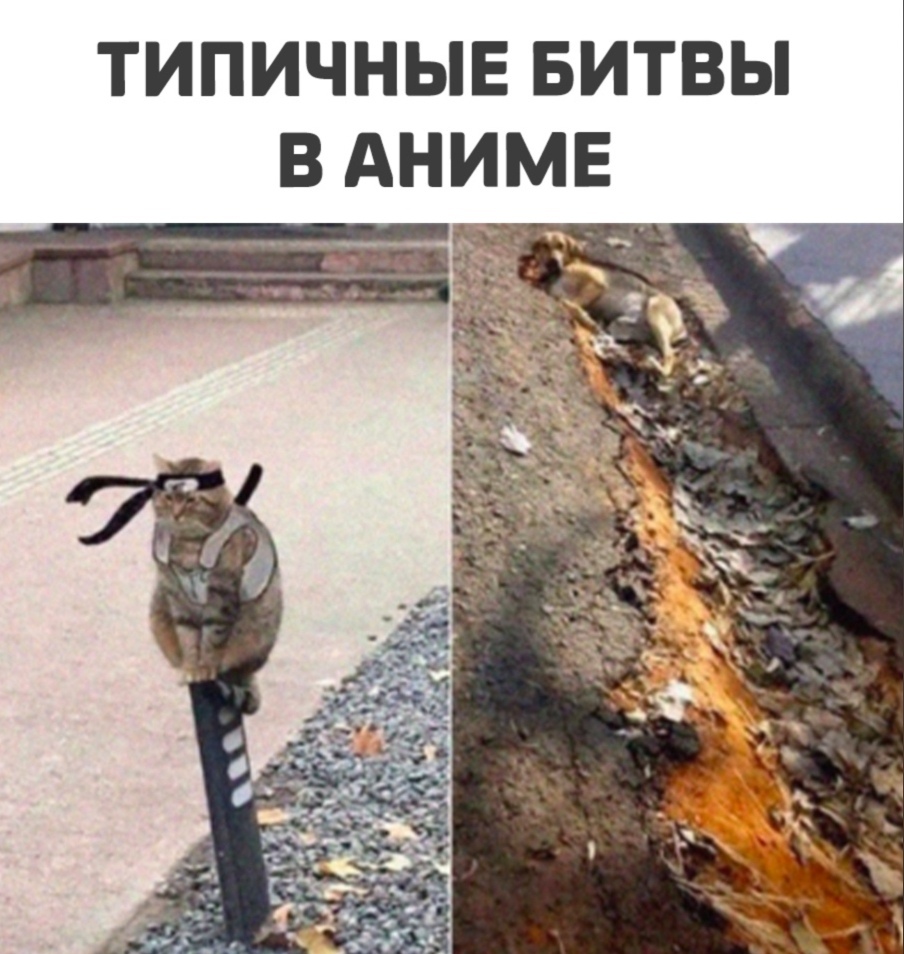 ТИПИЧНЫЕ БИТВЫ