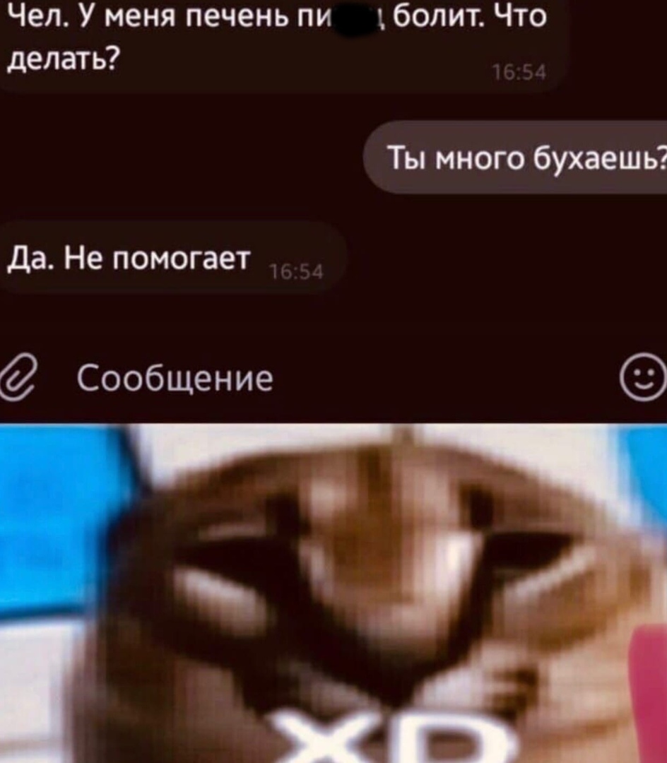 Чел У меня печень пи болит Что делать Ты много бухаешь Да Не помогает Сообщение