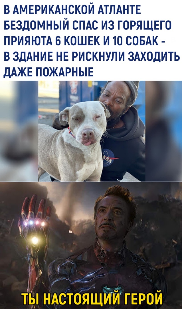 В АМЕРИКАНСКОЙ АТЛАНТЕ БЕЗДОМНЫЙ СПАС ИЗ ГОРЯЩЕГО ПРИЯЮТА 6 КОШЕК И 10 СОБАК В ЗДАНИЕ НЕ РИСКНУЛИ ЗАХОДИТЬ ДАЖЕ ПОЖАРНЫЕ ты НАСТОЯЩИТЙ герой