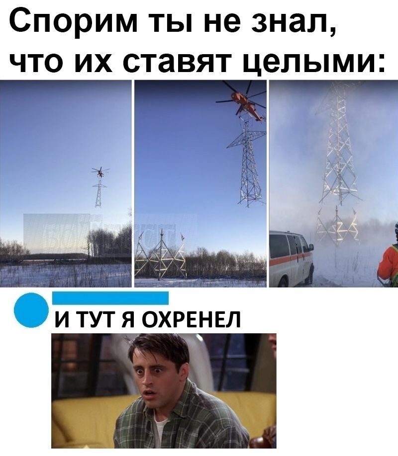Спорим ты не знал что их ставят целыми