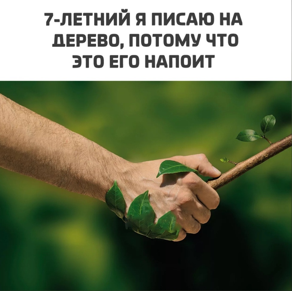 7 лвтний я писдю НА дерево потому что ЭТО ЕГО НАПОИТ