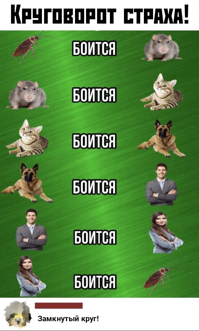 Кингпвпппт стишки Ёвоится ЁЁ