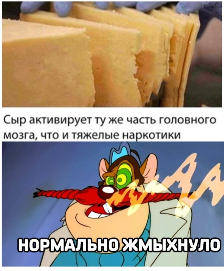 нортхльцо жьйыхнуло