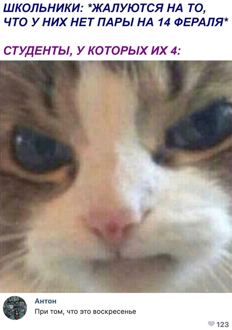 ШКОЛЬНИКИ ЖАЛУЮТСЯ НА ТО ЧТО У НИХ НЕТ ПАРЫ НА 14 ФЕРАЛЯ СТУДЕНТЫ У КОТОРЫХ ИХ 4 Антон При том что это воскресенье