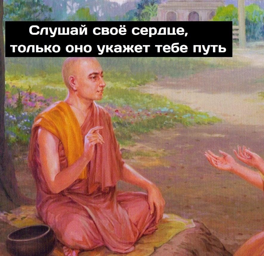 Слушай свое сердце только оно укажет тебе путь