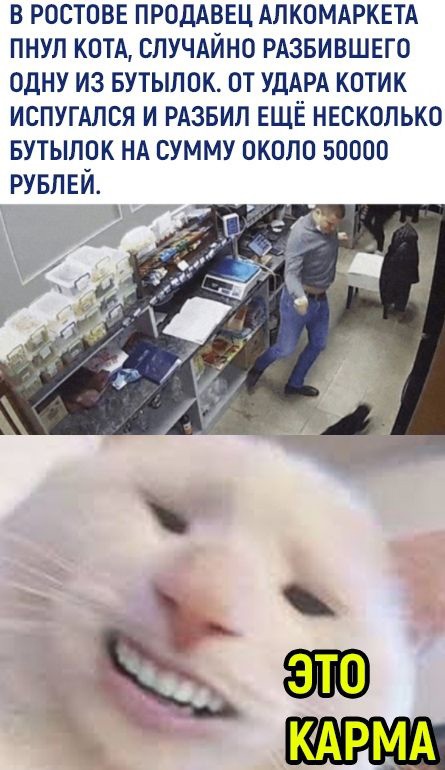 В РОСТОВЕ ПРОДАВЕЦ АЛКОМАРКЕТА ПНУЛ КОТА СЛУЧАЙНО РАЗБИВШЕГО ОДНУ ИЗ БУТЫЛОК ОТ УДАРА КОТИК ИСПУГАЛСЯ И РАЗБИЛ ЕЩЁ НЕСКОЛЬКО БУТЫЛОК НА СУММУ ОКОЛО 50000 РУБЛЕЙ
