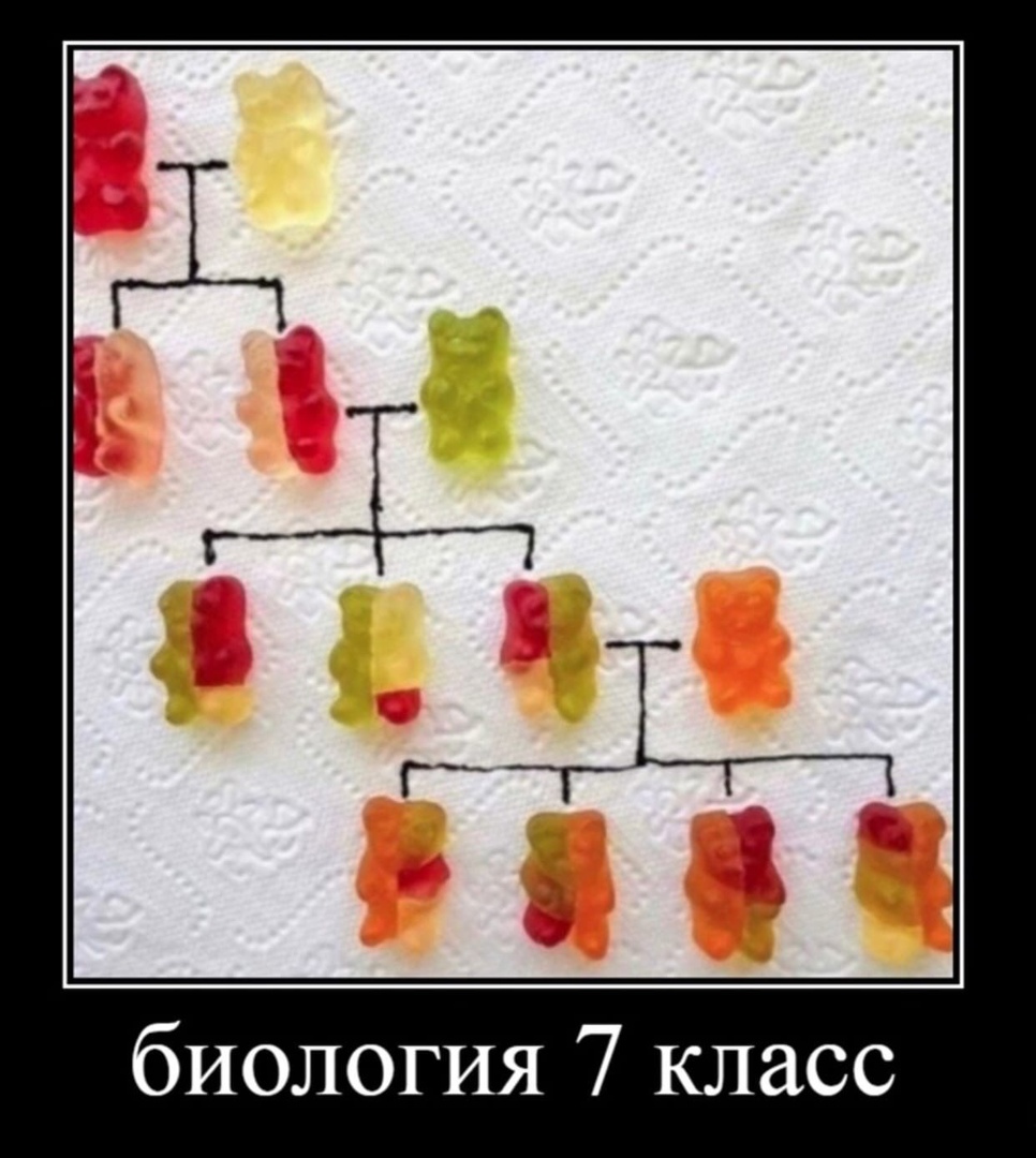 биология 7 класс