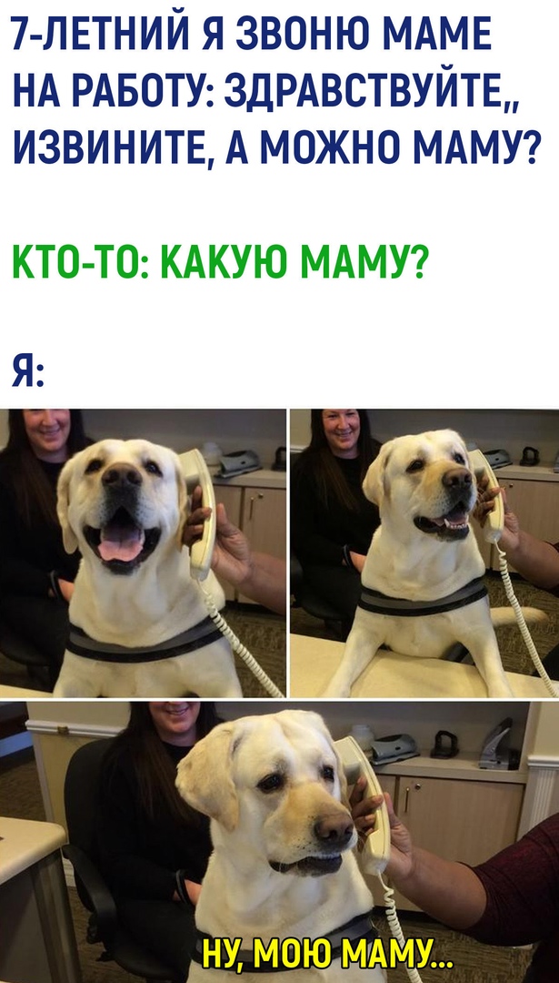 7летний я звоню маме на работу: здравствуйте, извините, а можно маму? Ктото: какую маму?