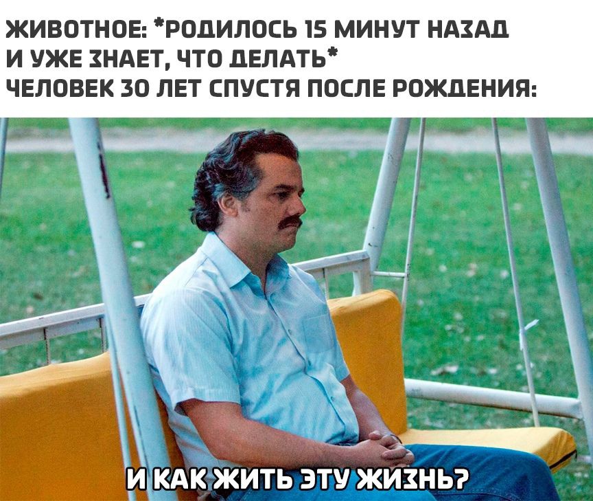 ЖИВОТНОЕ РОДИЛОСЬ 5 МИНУТ НАЗАД И УЖЕ ЗНАЕТ ЧТО ЛЕЛАТЬ ЧЕЛОВЕК 30 ЛЕТ СПУСТЯ ПОСЛЕ РОЖДЕНИЯ