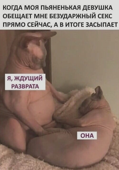 КОГДА МОЯ ПЬЯНЕНЬКАЯ дЕВУШКА оввщдвт мне БЕЗУдАРЖНЫЙ секс прямо сейчдс А в ИТОГЕ ЗАСЫПАЕТ я ждущий РАЗВРАТА