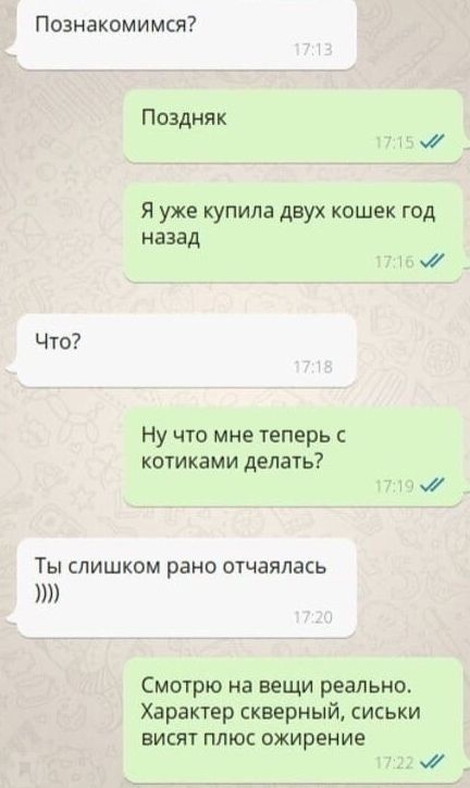 Познакомимся Поздняк Я уже купила двуХ кошек год назад 9 Что Ну что мне теперь котиками делать Ты слишком рано отчаялась Смотрю на вещи реально Характер скверный сиськи ЕИСЯТ ПЛЮС ОЖИРЕНИЕ