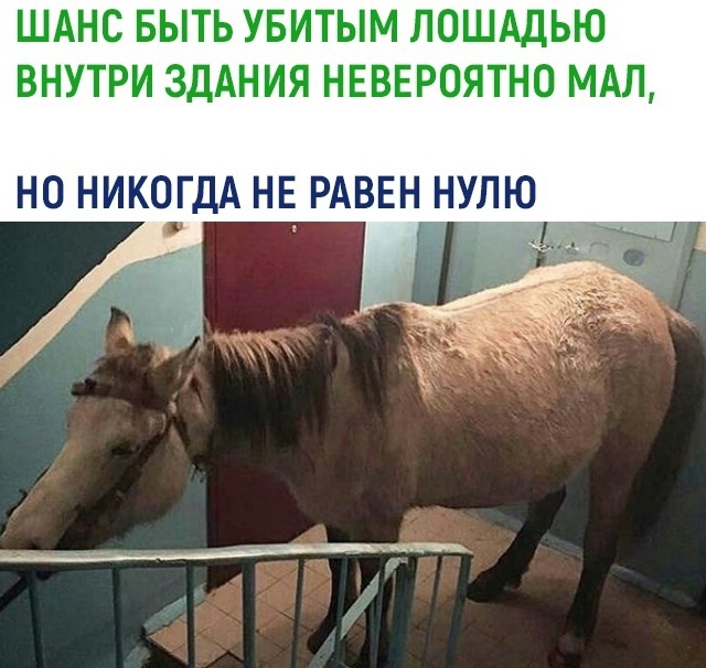 ШАНС БЫТЬ УБИТЫМ ЛОШАДЬЮ ВНУТРИ ЗДАНИЯ НЕВЕРОЯТНО МАЛ НО НИКОГДА НЕ РАВЕН НУЛЮ