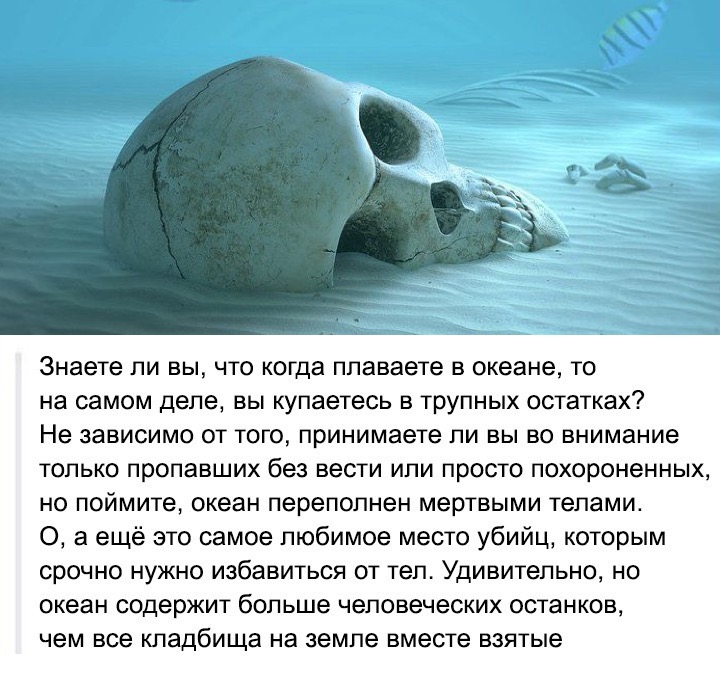 Знаете ли вы что когда ппаваете в океане то на самом деле вы купаетесь в трупных остатках Не зависимо от того принимаете ли вы во внимание только пропавших без вести или просто похороненных но поймите океан переполнен мертвыми телами 0 а ещё это самое любимое место убийц которым срочно нужно избавиться от тел Удивительно но океан содержит больше человеческих останков чем все кладбища на земле вмес