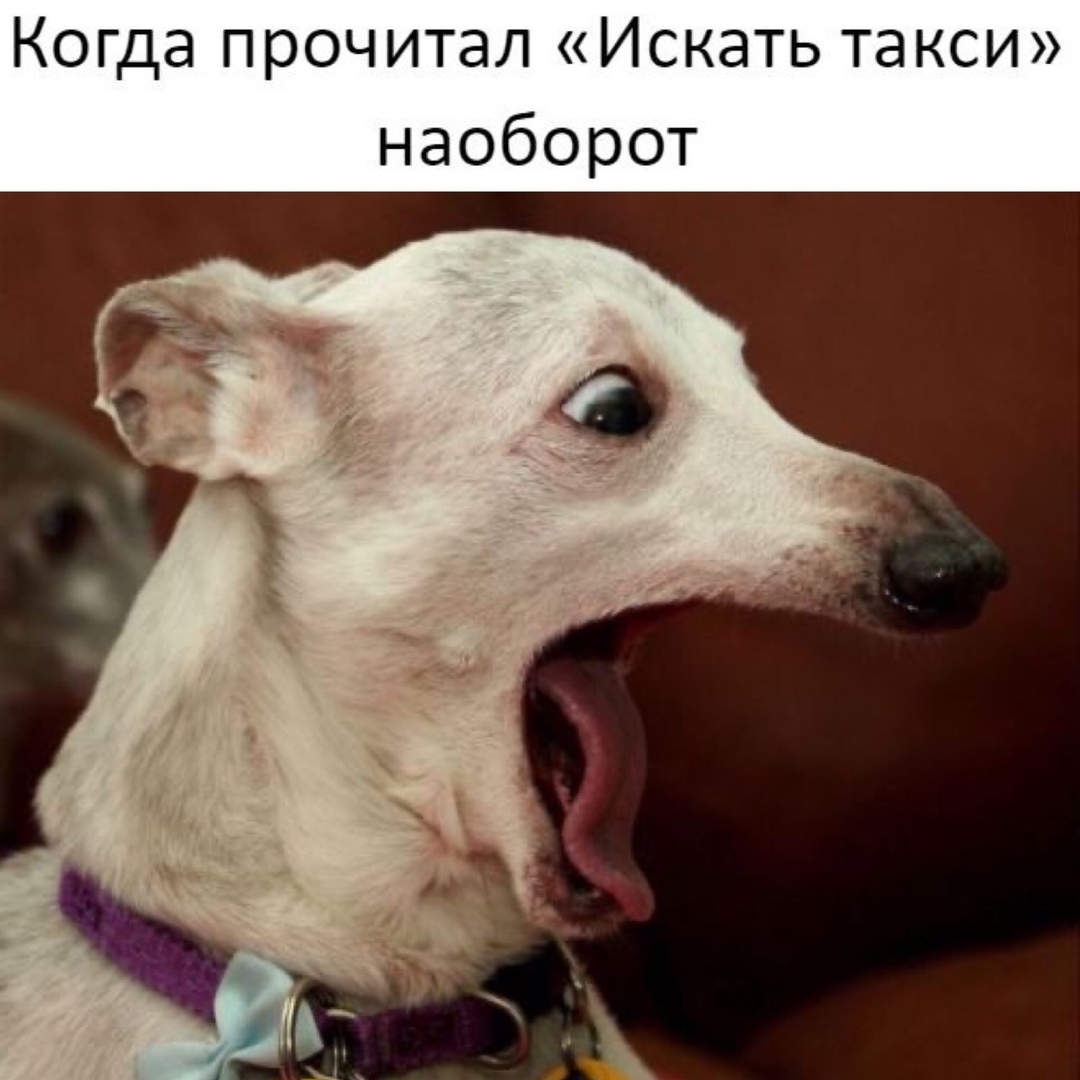 Когда прочитал Искать такси наоборот
