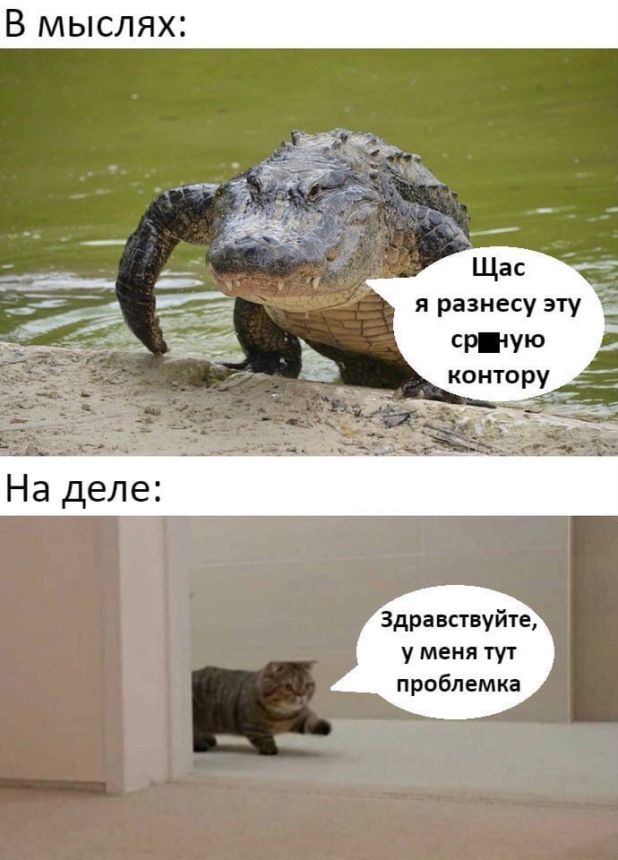 я разнесу эту ств чую контору Здравствуйте у меня тут проблемка