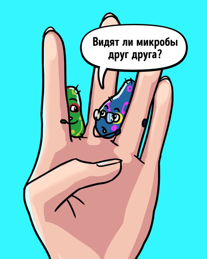 Видят ли микробы друг друга