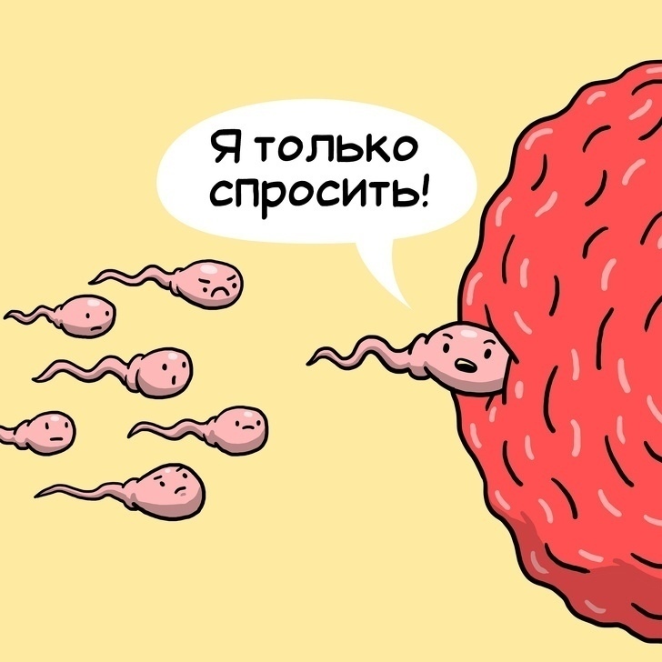 Я только спросить Ю