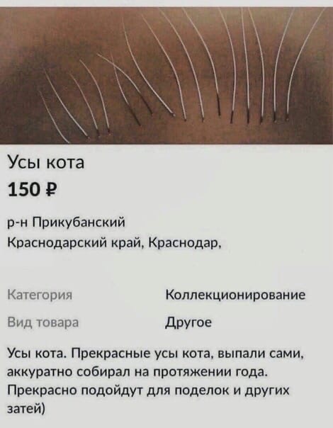 Усы кота 150 Е рн Прикубанский Краснодарский край Краснодар Категория Коллекционирование Вид шпаг Другое Усы кота Прекрасные усы кота выпали сами аккуратно собирал на протяжении года Прекрасно подойдут для поделок и других затей