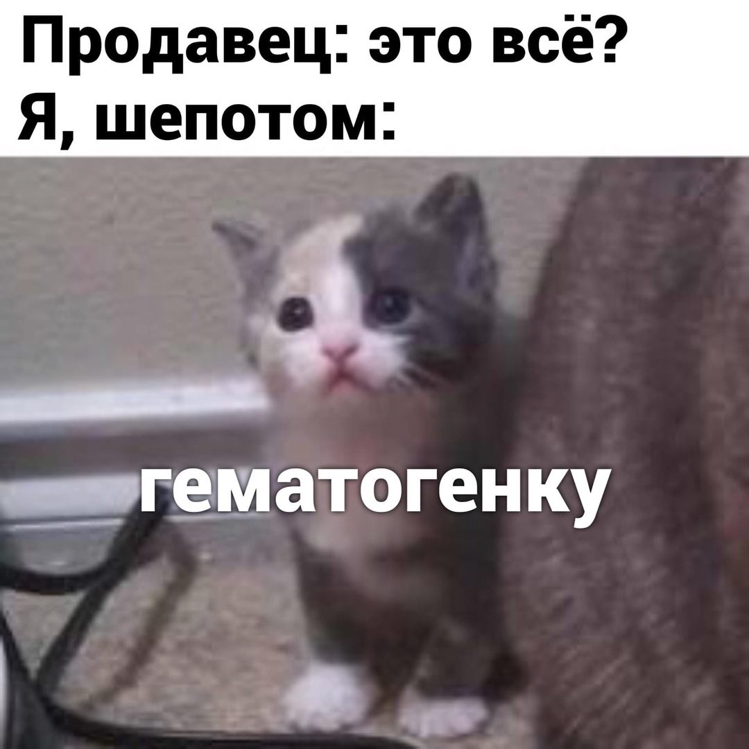 Продавец это всё Я шепотом _ геіматоген ку _ ___