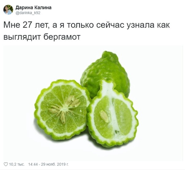 дарина Шина паппка_к92 Мне 27 лет а я только сейчас узнала как выглядит бергамот 9107 14 мазком 2019