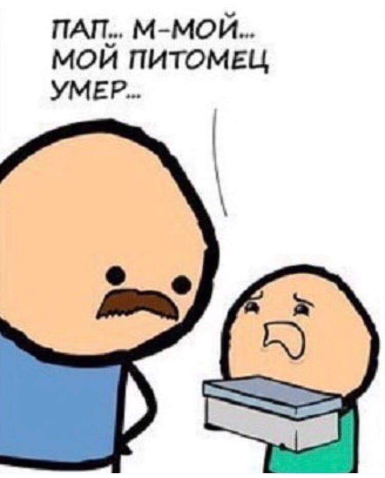 мп Ммой мои питомец умер